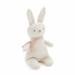 Load image into Gallery viewer, Beatrix Bunny + Forrest Frog | Nana Huchy